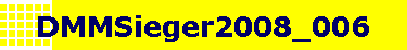 DMMSieger2008_006