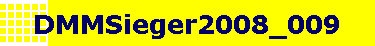 DMMSieger2008_009