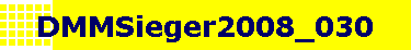 DMMSieger2008_030