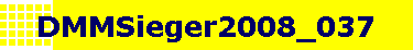 DMMSieger2008_037