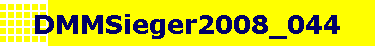 DMMSieger2008_044