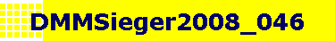 DMMSieger2008_046