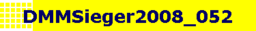 DMMSieger2008_052