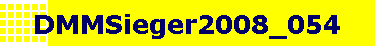 DMMSieger2008_054