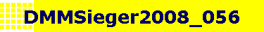 DMMSieger2008_056
