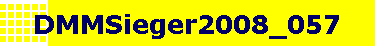 DMMSieger2008_057