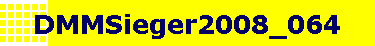 DMMSieger2008_064
