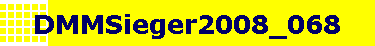 DMMSieger2008_068