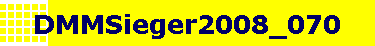 DMMSieger2008_070