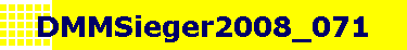 DMMSieger2008_071