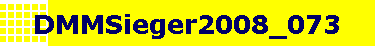 DMMSieger2008_073