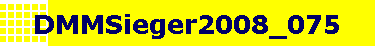 DMMSieger2008_075