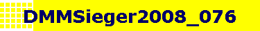 DMMSieger2008_076