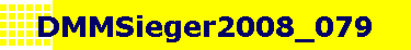 DMMSieger2008_079