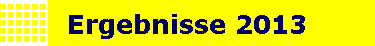 Ergebnisse 2013