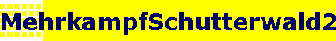MehrkampfSchutterwald2008_013