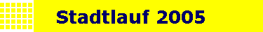 Stadtlauf 2005