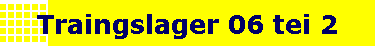 Traingslager 06 tei 2